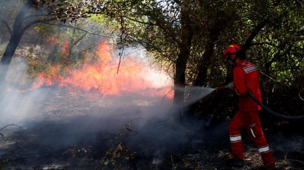 Temperatures Climb Across UK as Parts of Europe Battle Wildfires
